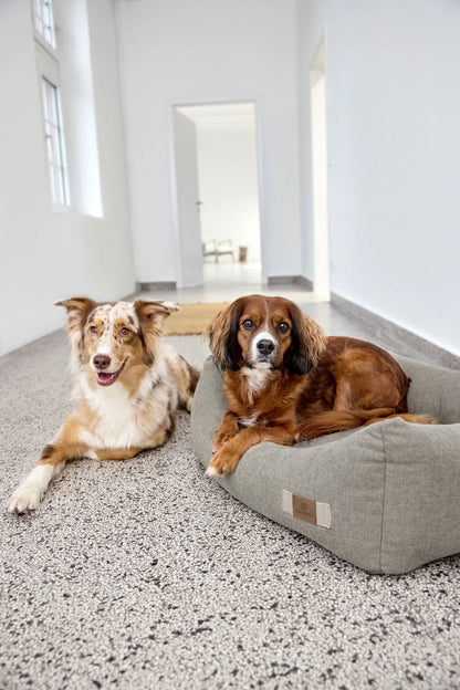 Palopa Hundebett Baumwolle - Fred Grau
