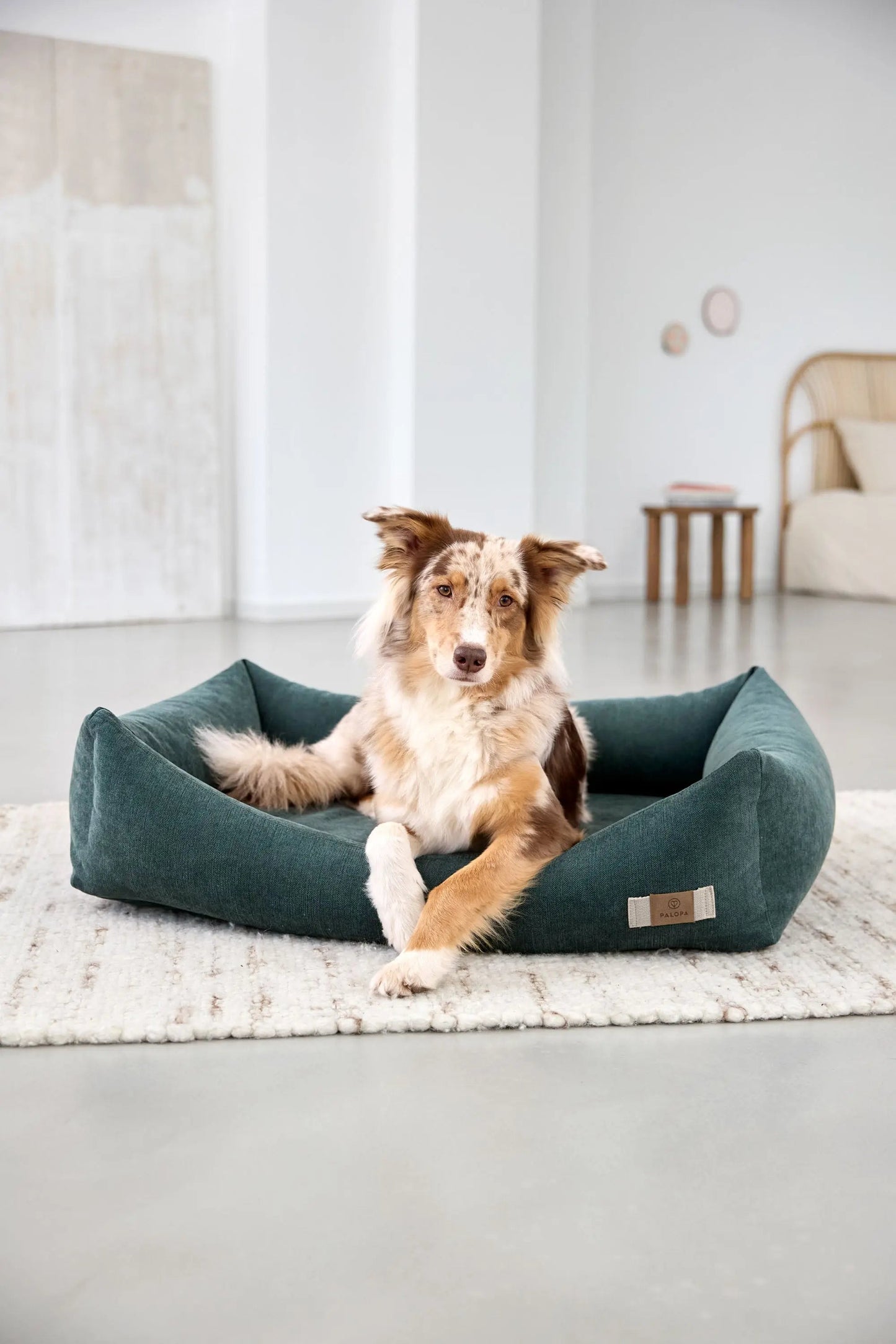 Palopa Hundebett Baumwolle - Fred Dunkelgrün