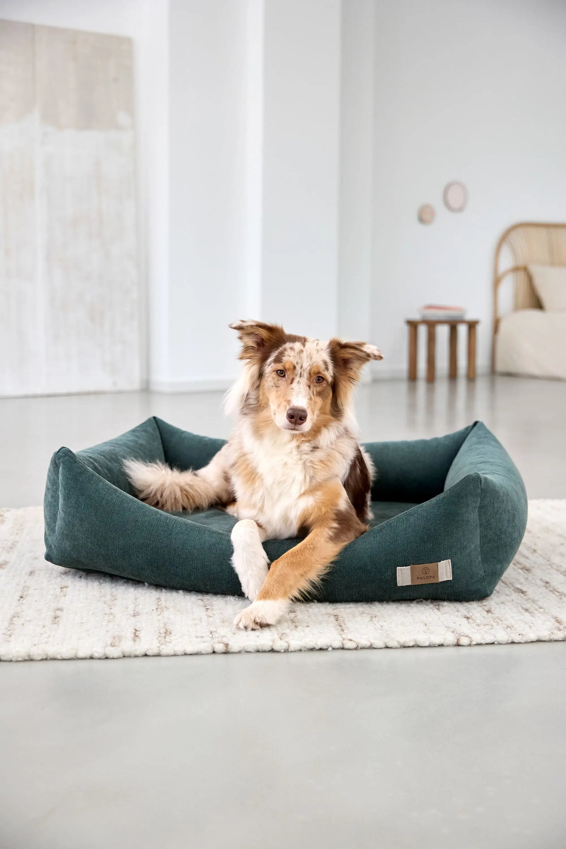 Palopa Hundebett Baumwolle - Fred Dunkelgrün
