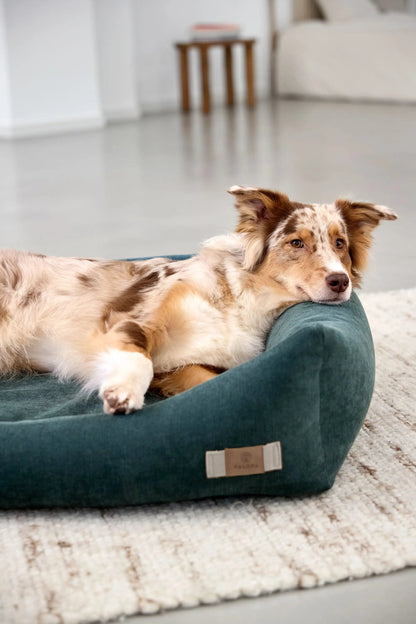 Palopa Hundebett Baumwolle - Fred Dunkelgrün