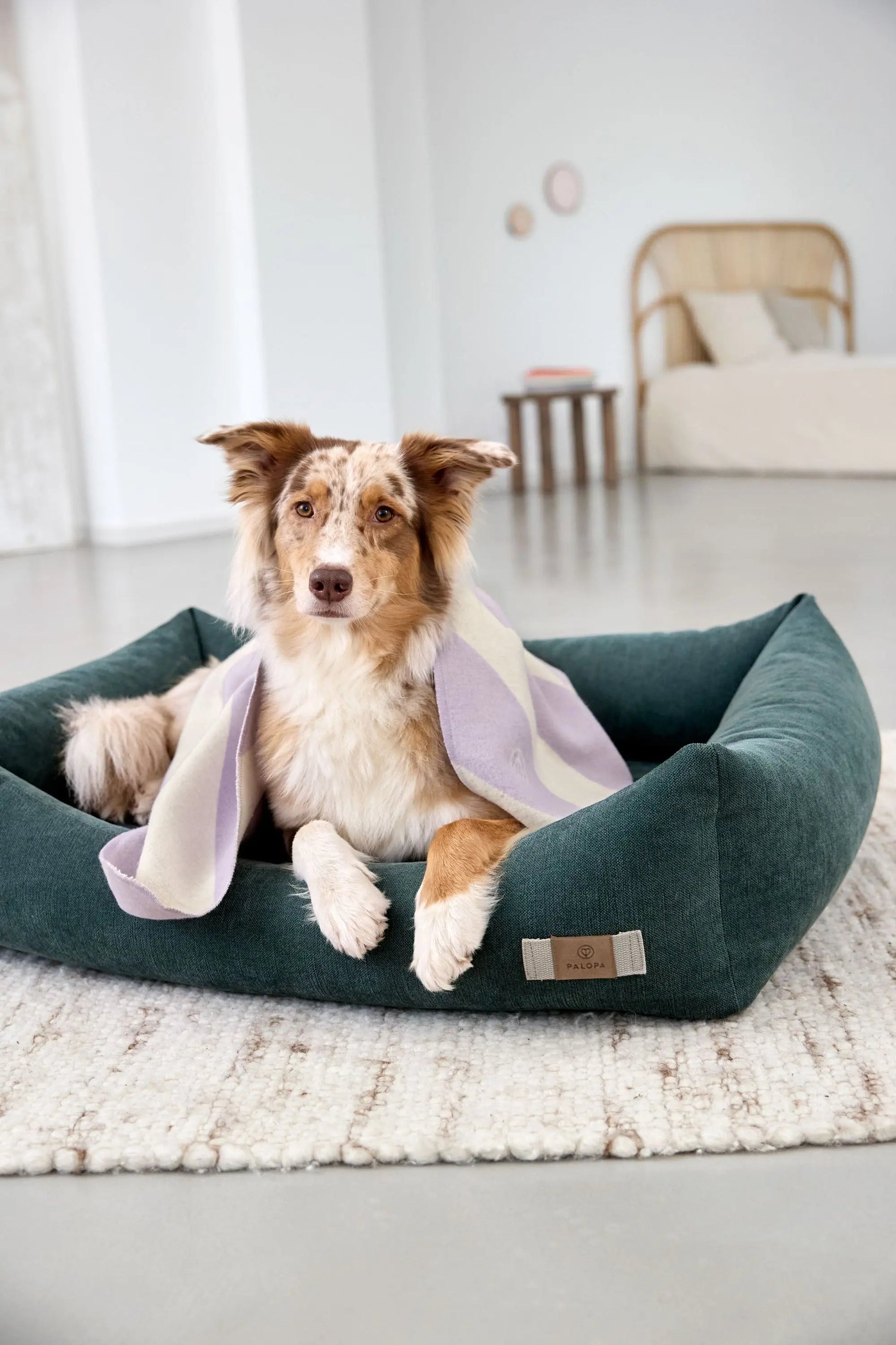 Palopa Hundebett Baumwolle - Fred Dunkelgrün