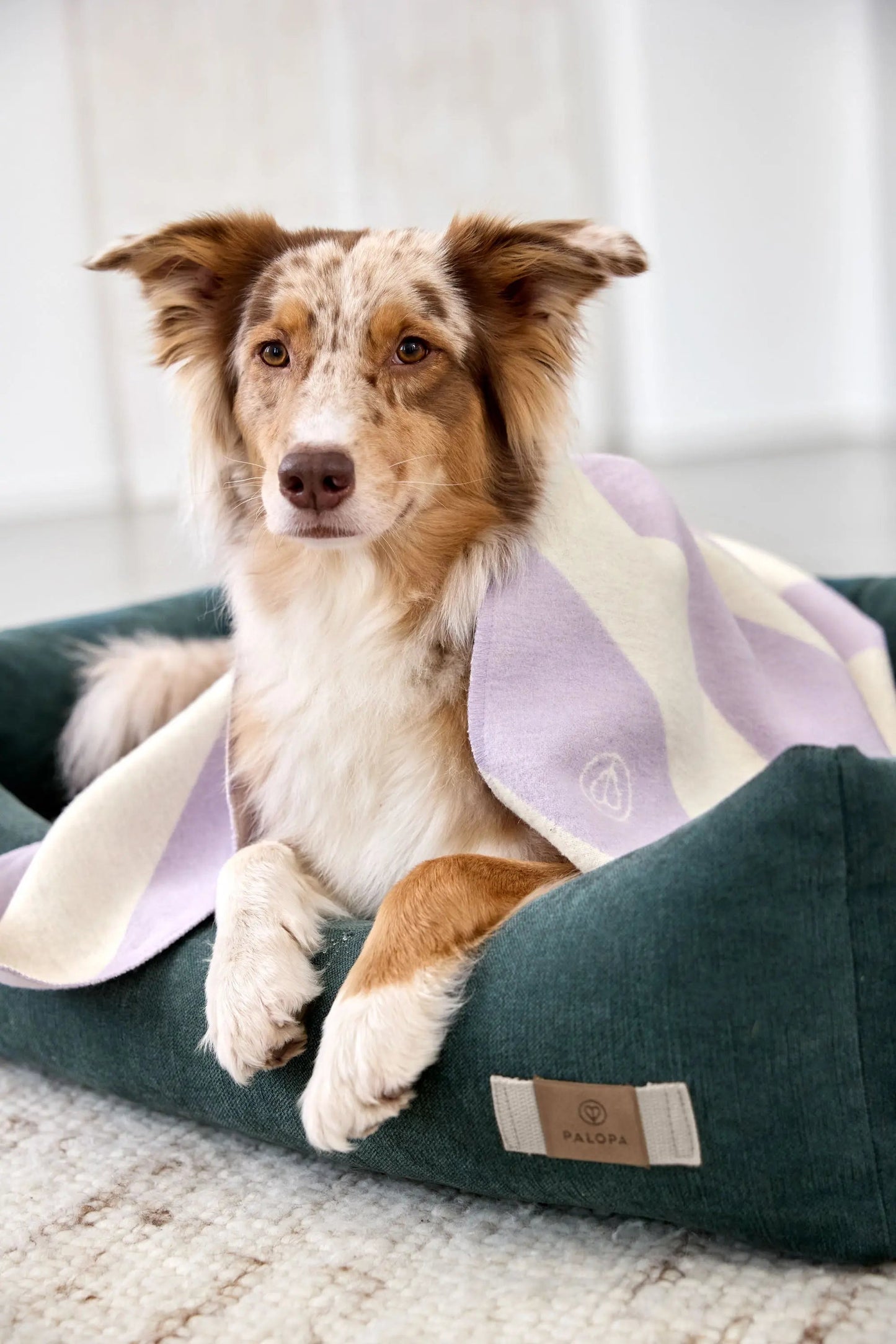 Palopa Hundebett Baumwolle - Fred Dunkelgrün