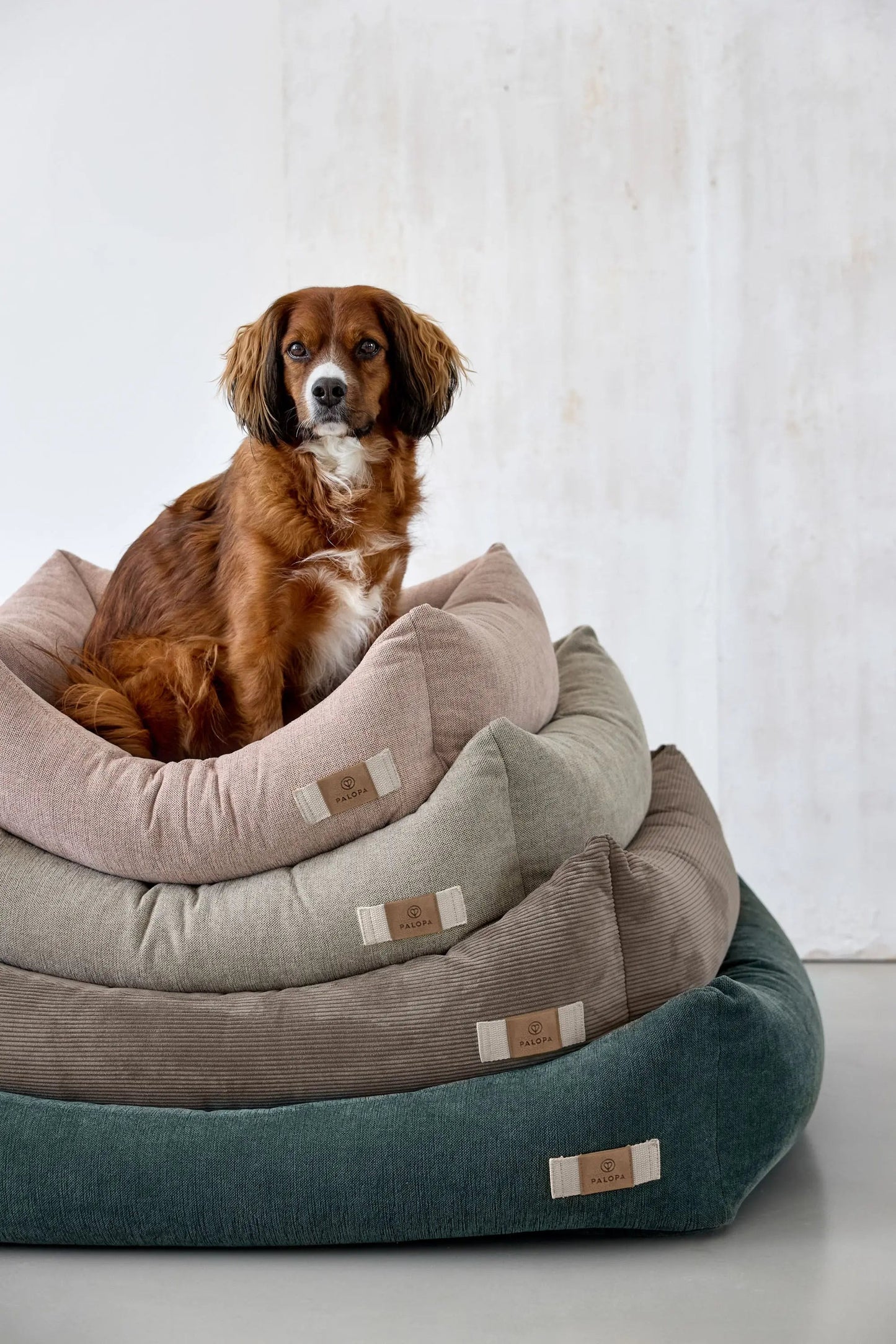 Palopa Hundebett Cord - Fred Braun