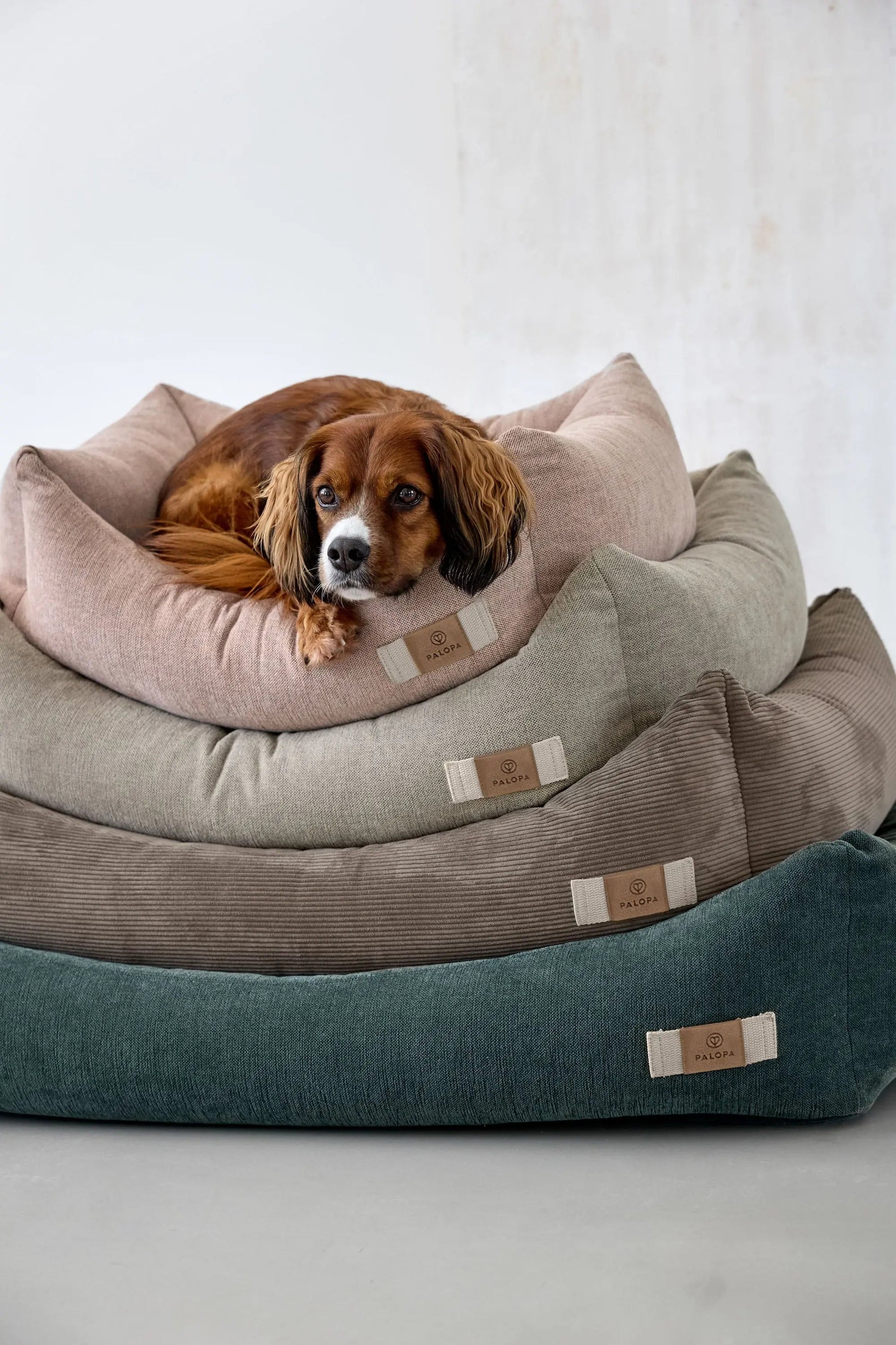 Palopa Hundebett Baumwolle - Fred Grau