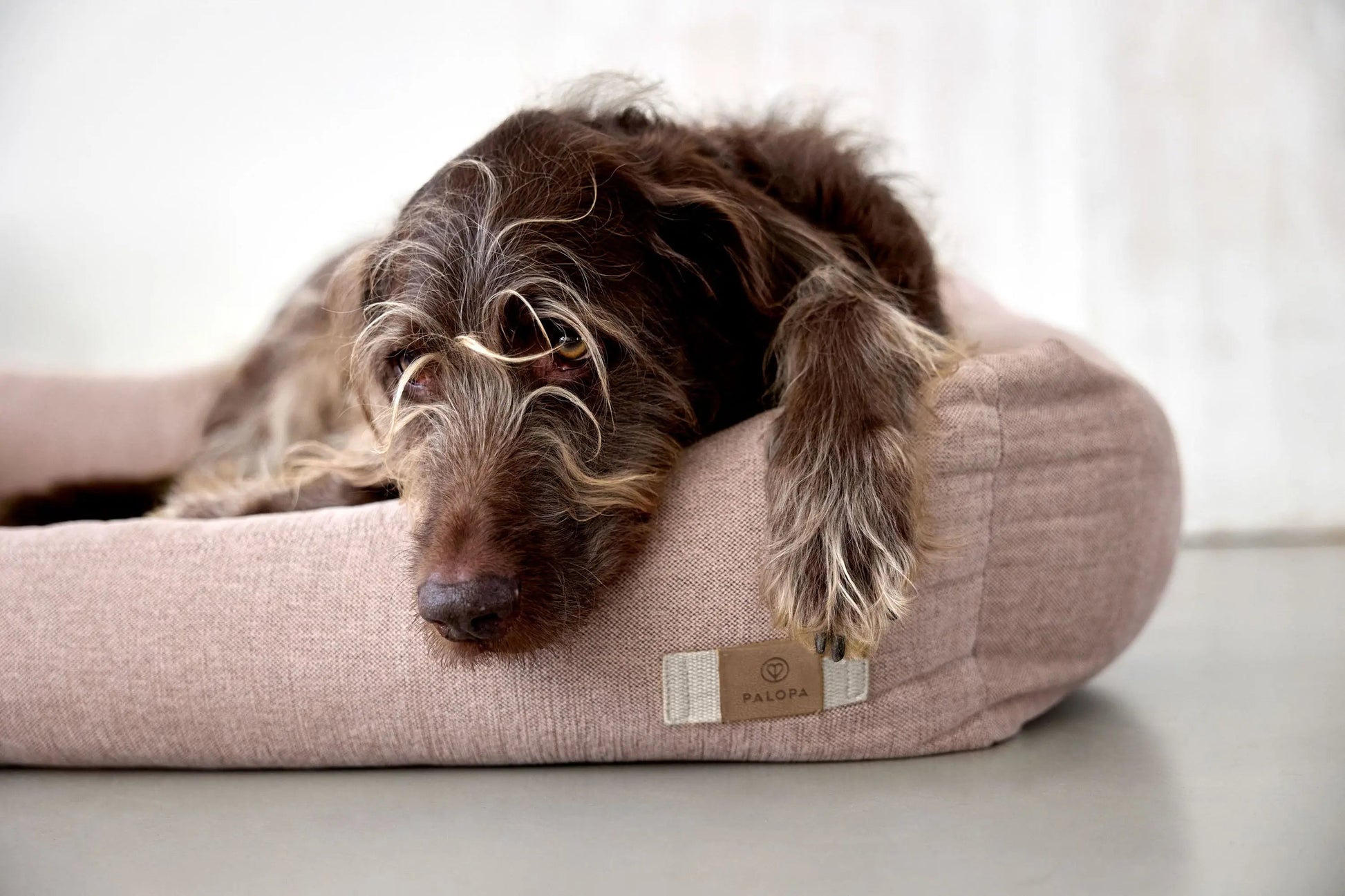 Palopa Hundebett Baumwolle - Fred Rosa