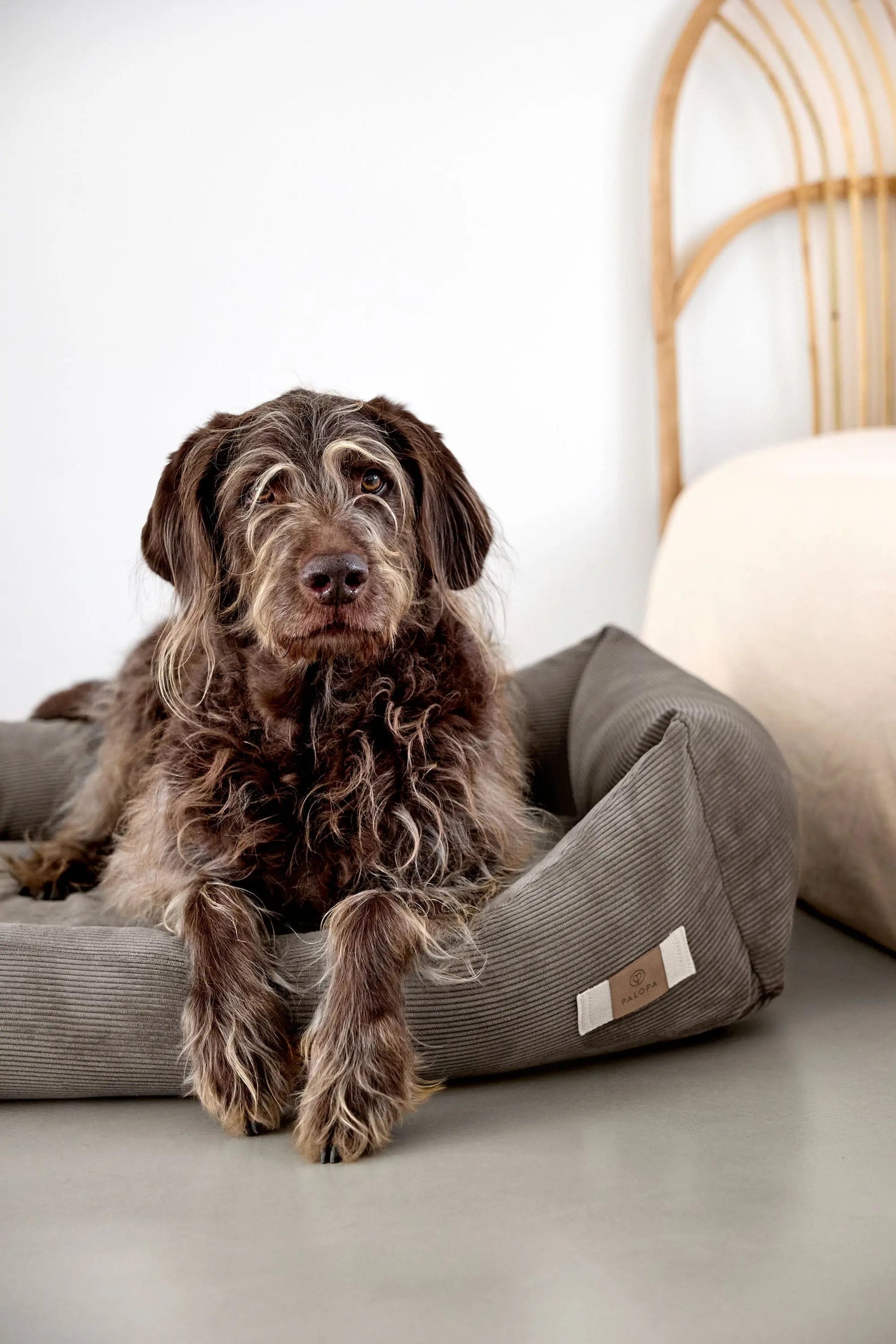 Palopa Hundebett Cord - Fred Braun