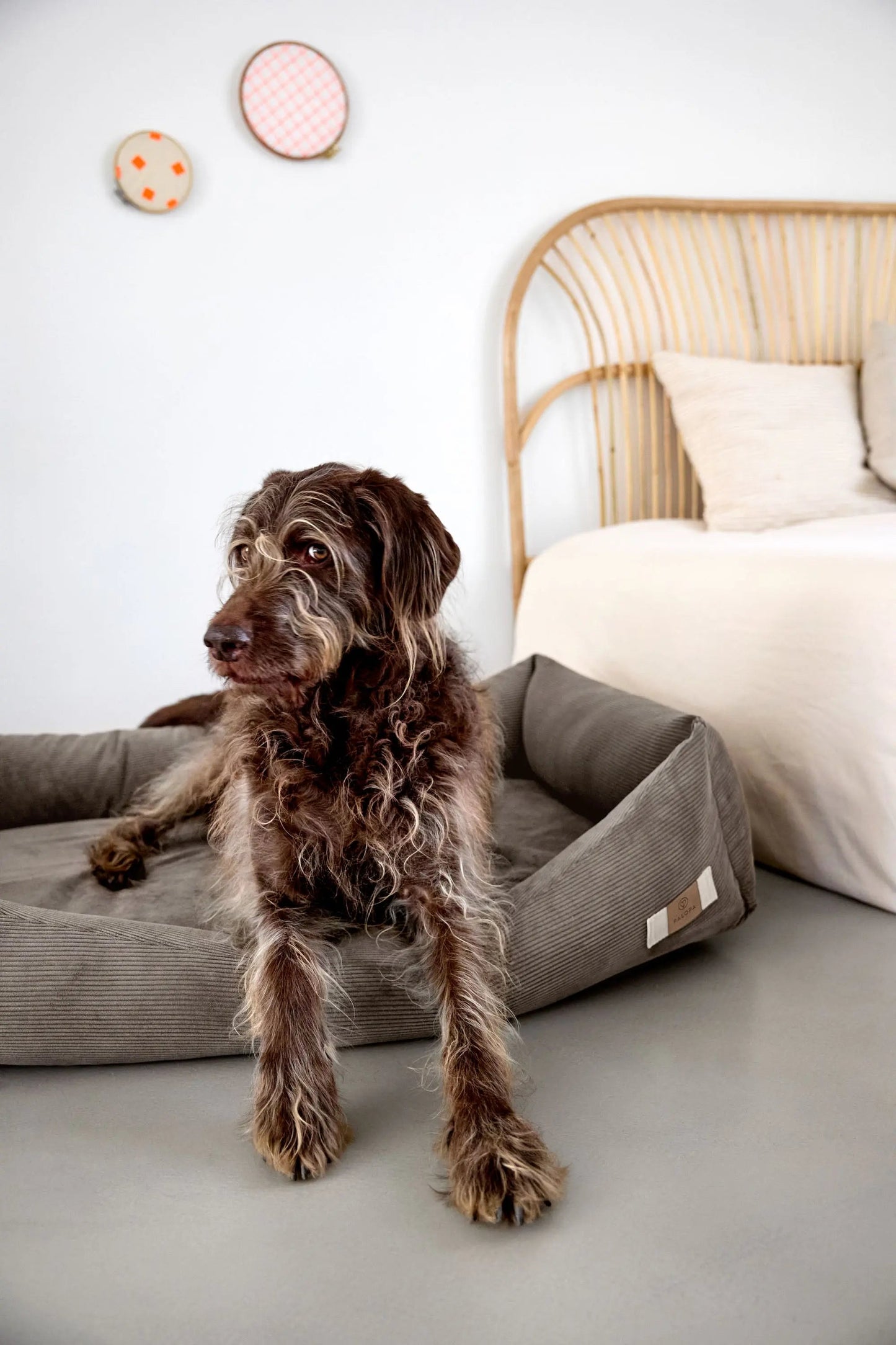 Palopa Hundebett Cord - Fred Braun