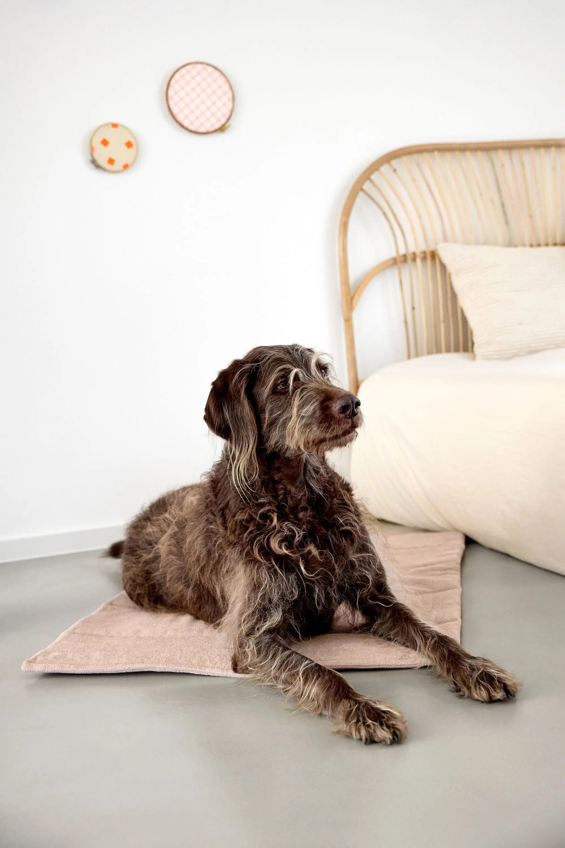 Palopa Hundematte - Alma Rosa