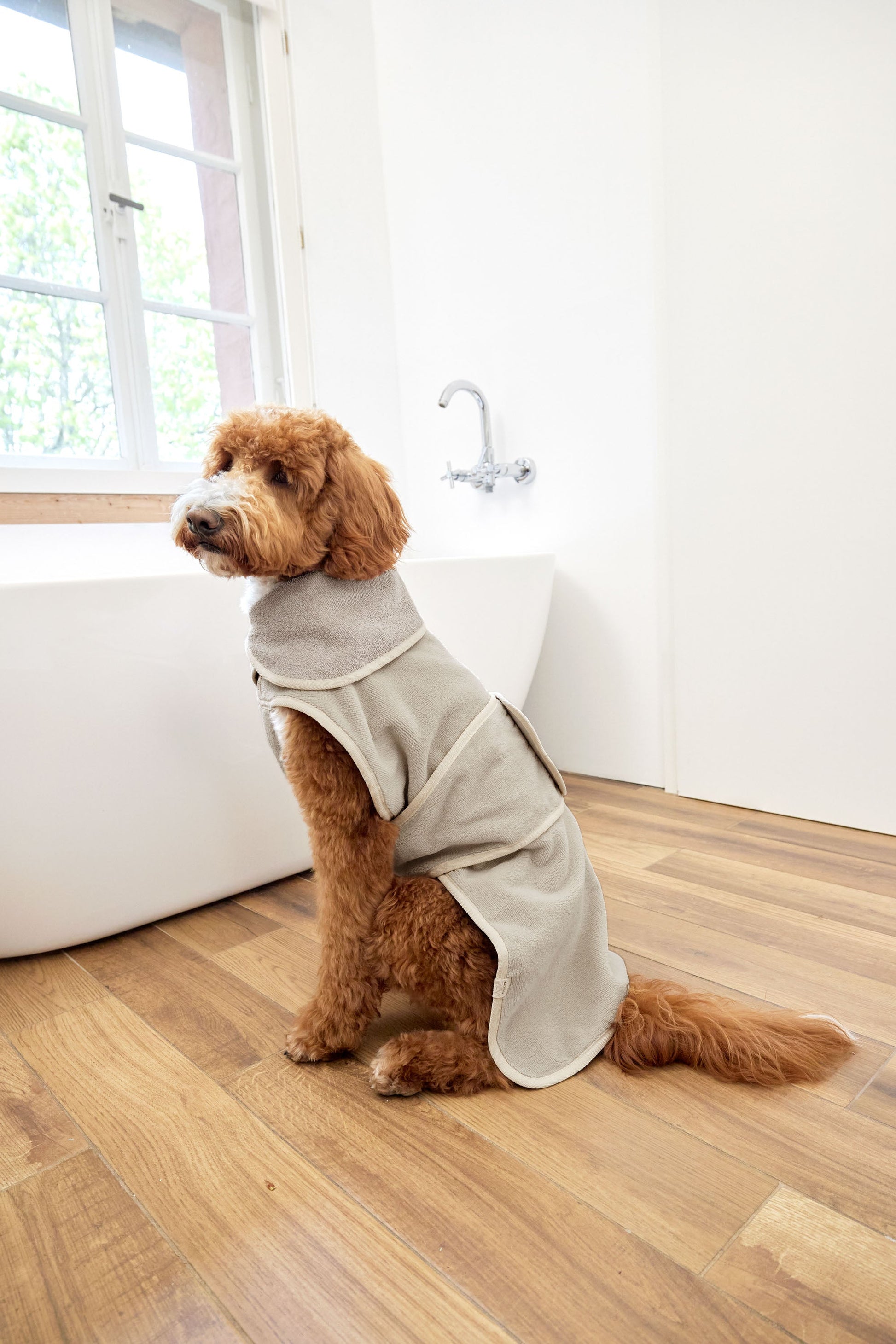 Palopa Hundebademantel - Robi Beige