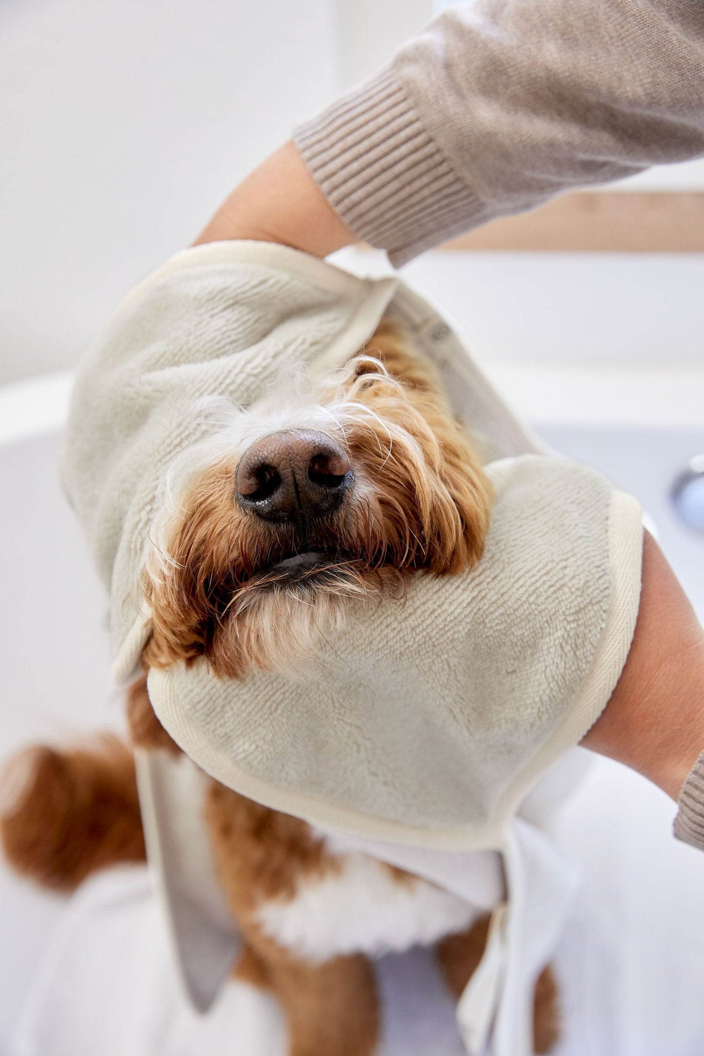 Palopa Hundehandtuch - Kosy Beige