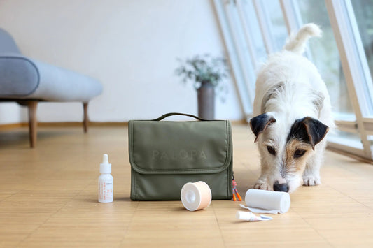 Palopa Hunde Erste-Hilfe-Set - Bano Dunkelgrün