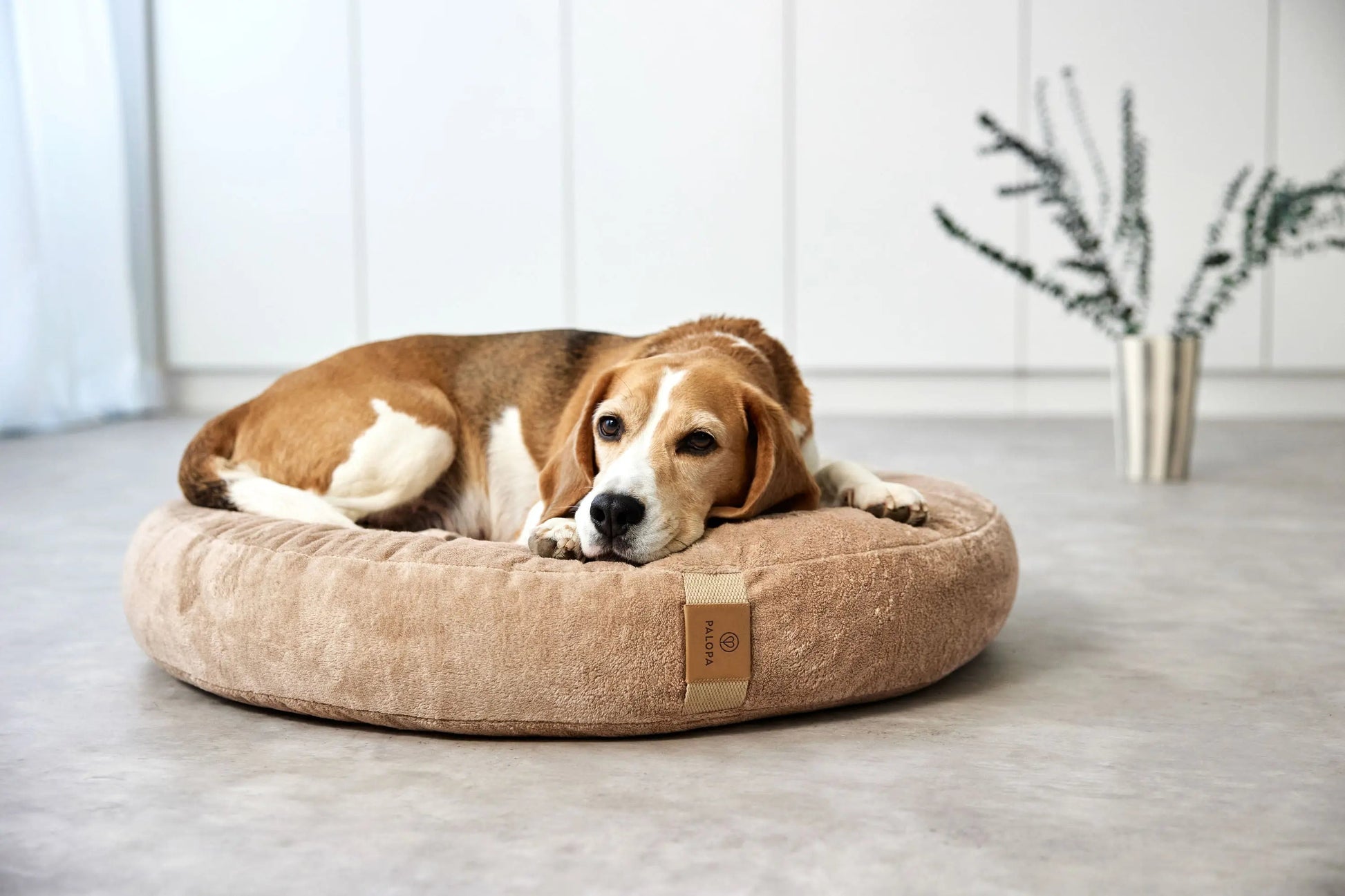 Palopa Hundebett Rund - Fippa Humus