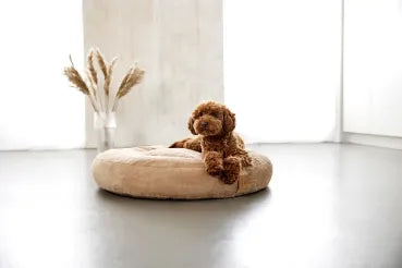 Hundebett rund hellbraun - Palopa Fippa Humus