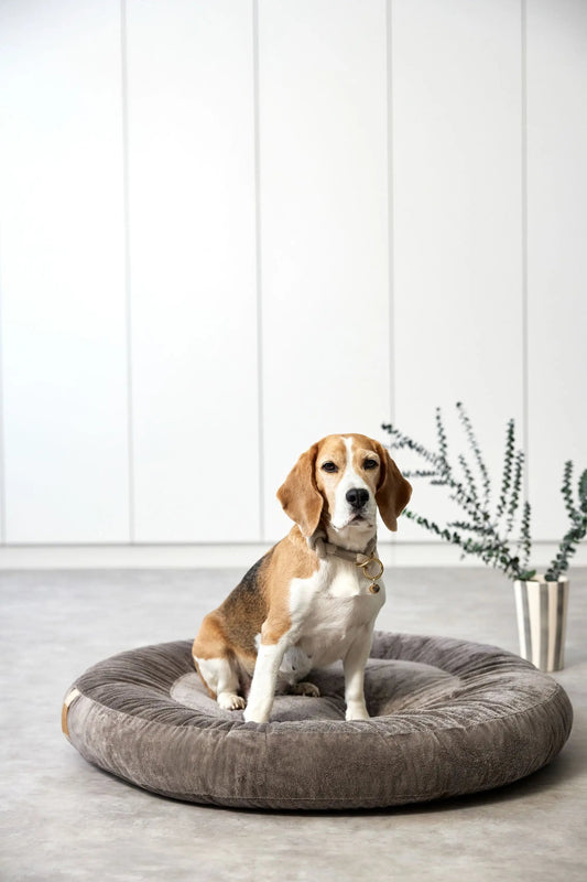 Palopa Hundebett Rund - Fippa Taupe