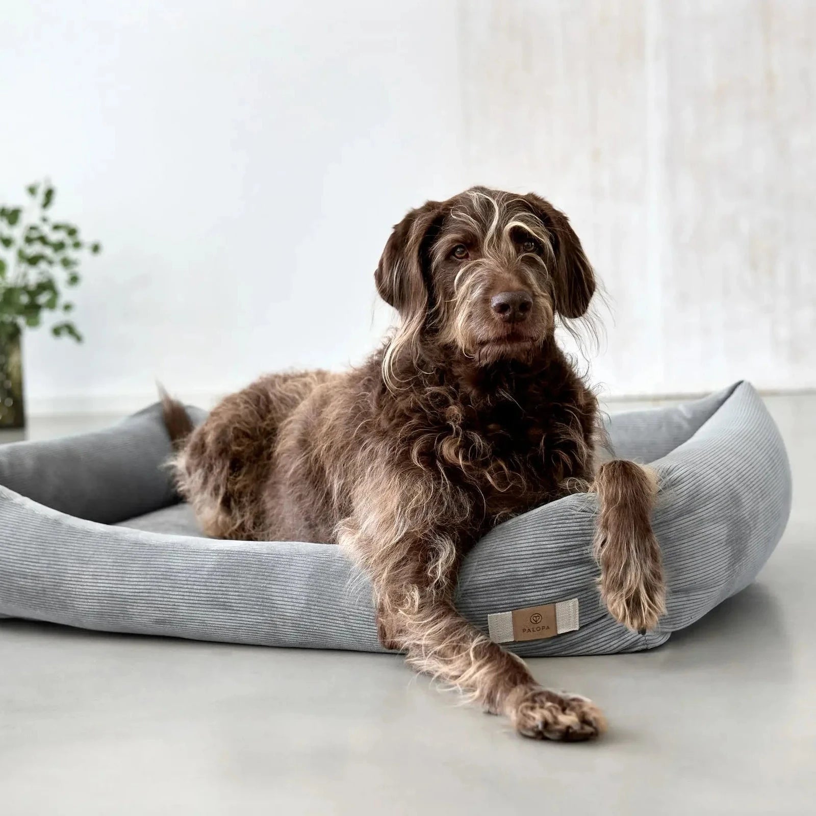 Hundebett Fred Grau Nahaufnahme Cordstoff und Polsterung