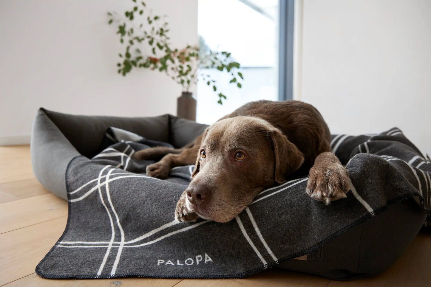Palopa Hundedecke L - Ida Kariert Anthrazit Hellgrau