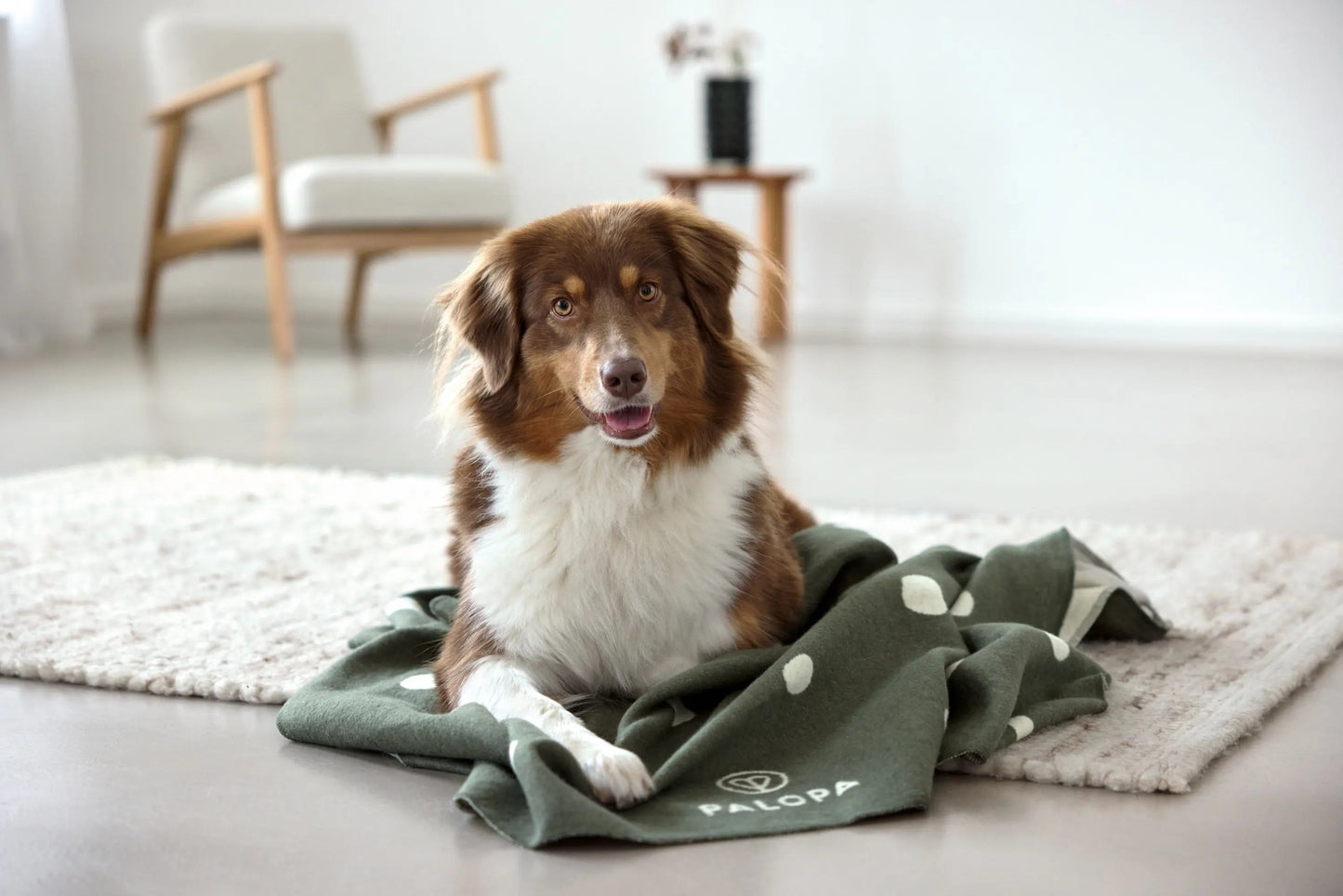 Palopa Hundedecke L - Ida Punkte Dunkelgrün