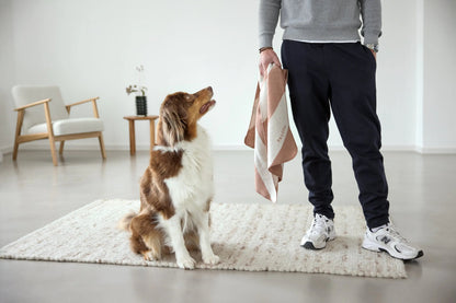 Palopa Hundedecke M - Ida Streifen Ahorn