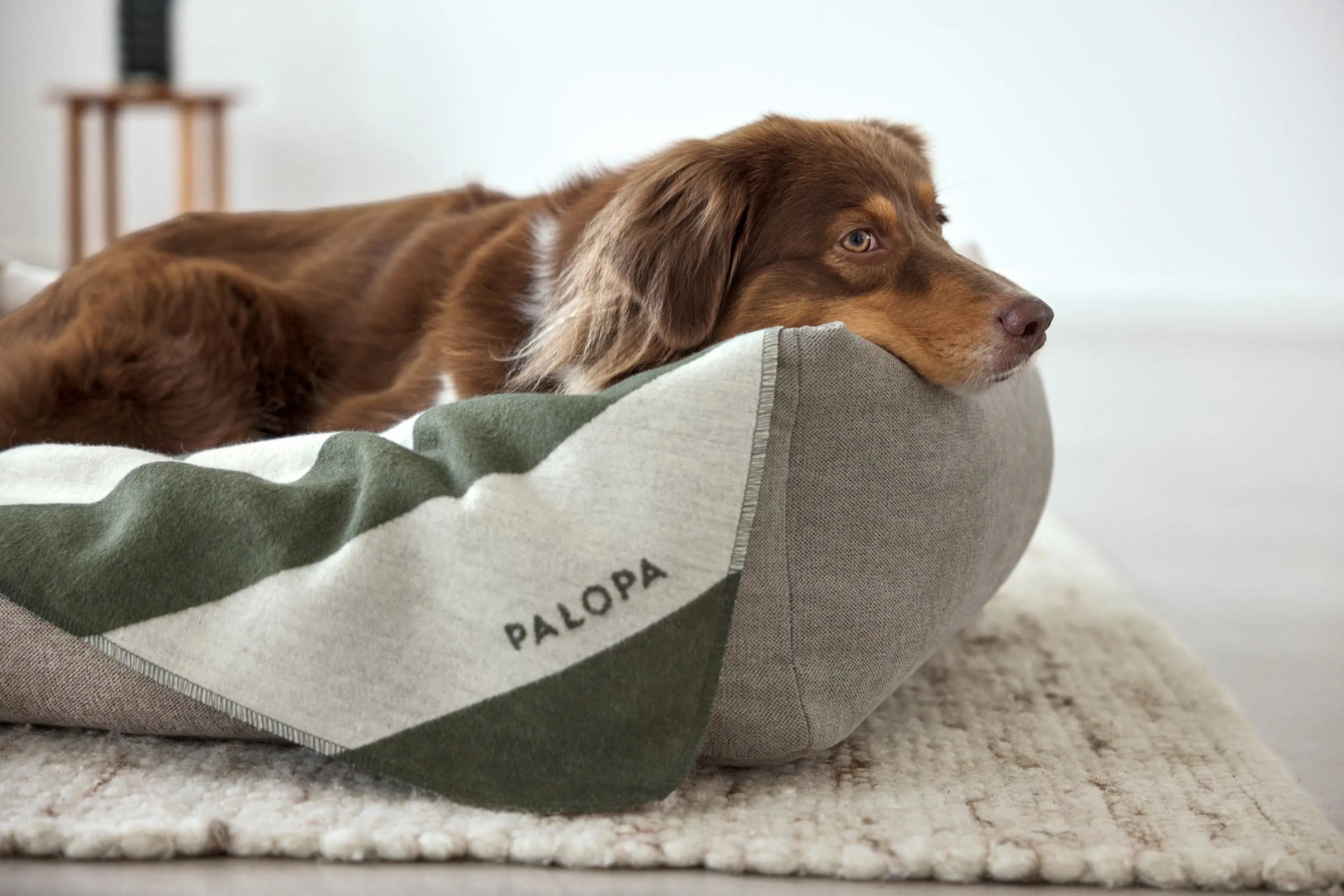 Palopa Hundedecke M - Ida Streifen Dunkelgrün