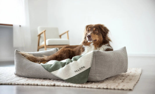 Palopa Hundedecke M - Ida Streifen Dunkelgrün