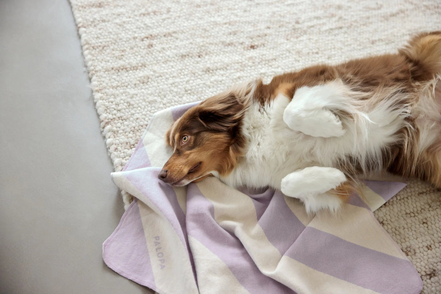 Palopa Hundedecke M - Ida Streifen Lila