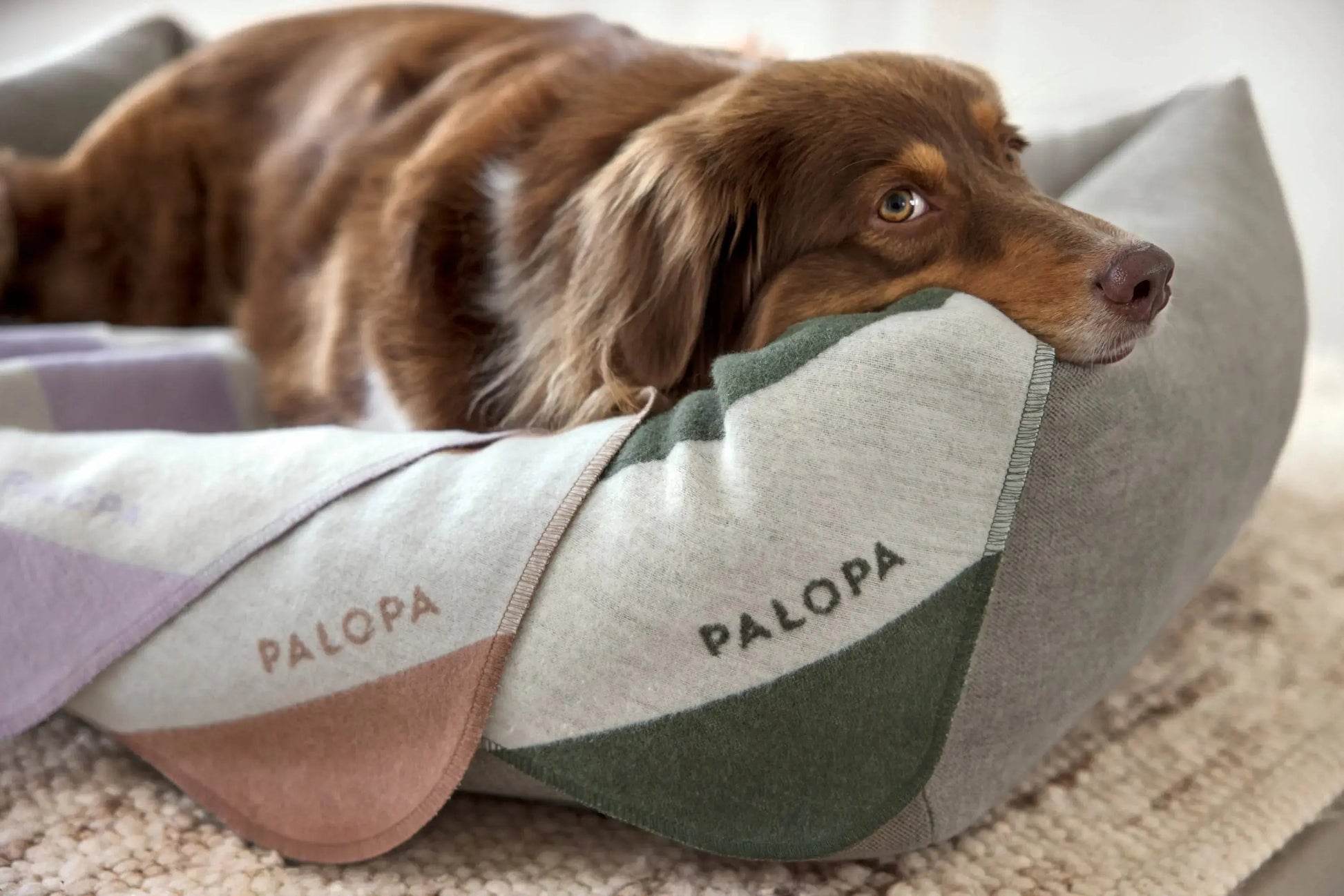 Palopa Hundedecke M - Ida Streifen Lila