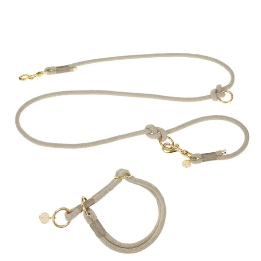 Palopa Hundeleine Slim Mila & Hundehalsband Slim Mila Studio