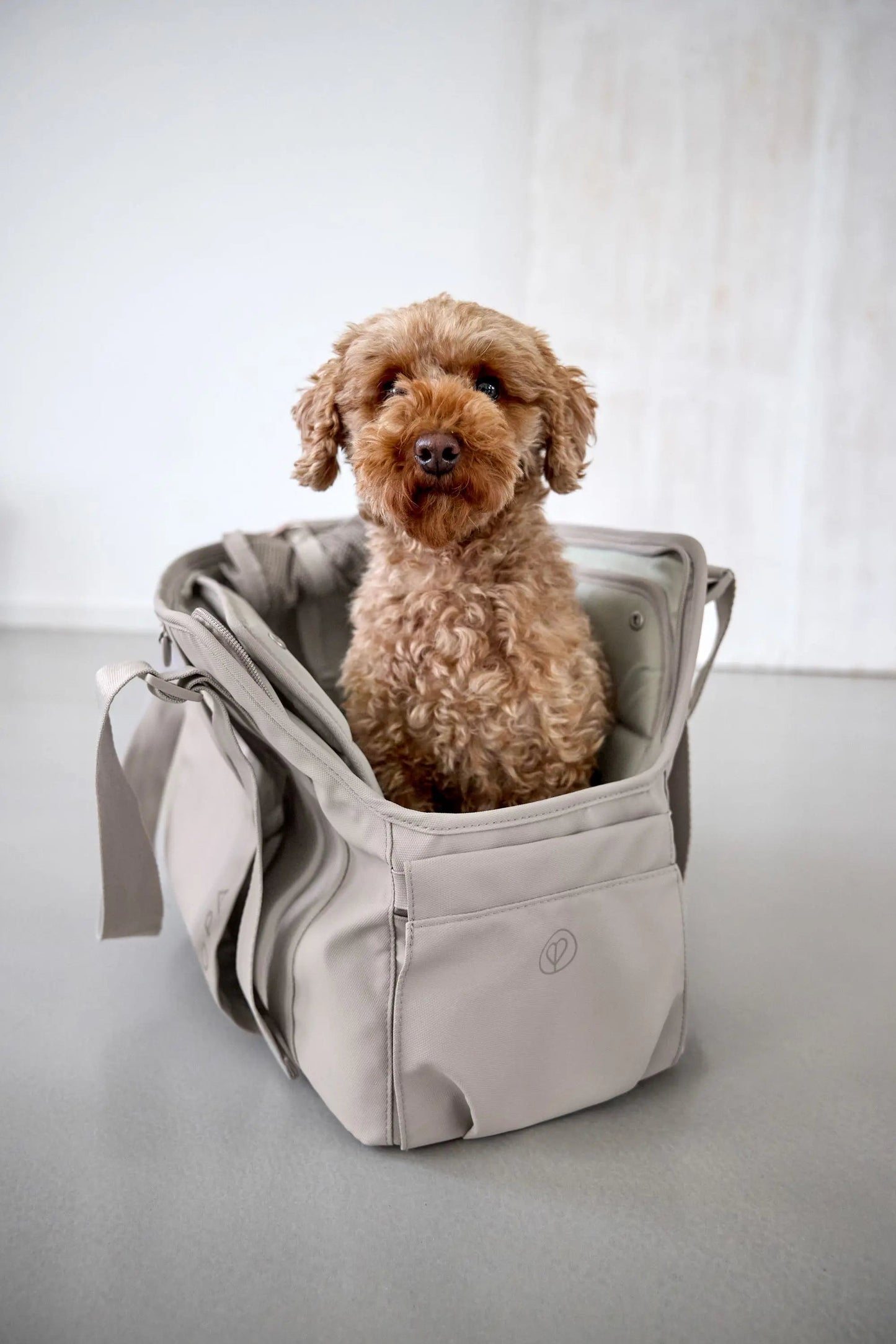 Palopa Hundetasche - Weda Taupe