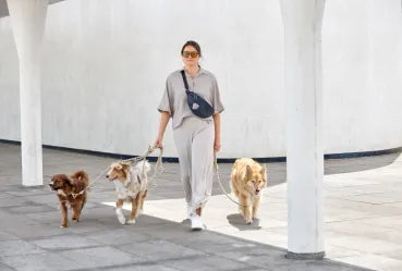 Leckerlibeutel Emma deep blue dunkelblau - PALOPA