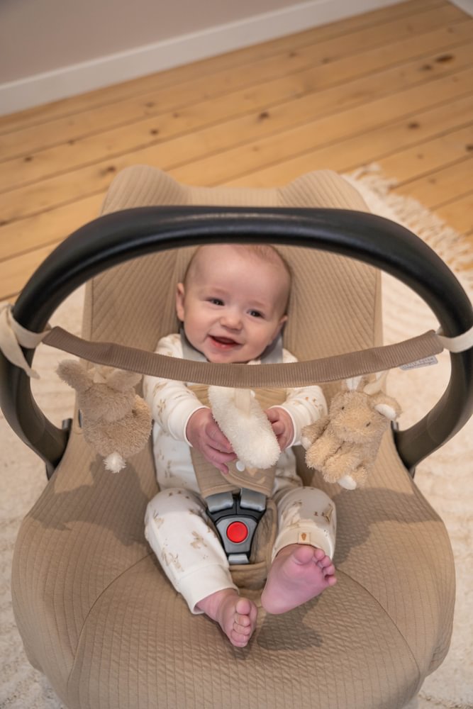 Wagenkette Baby Bunny Material und Texturen
