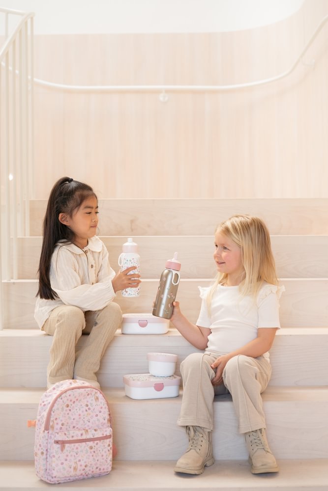 Little Dutch Bento Lunchbox groß Fairy Wonders