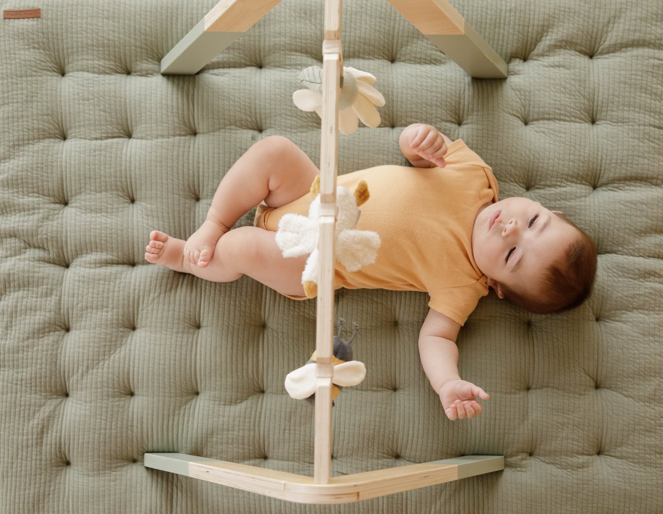 Little Dutch Grünes Spieltrapez Holz Little Farm