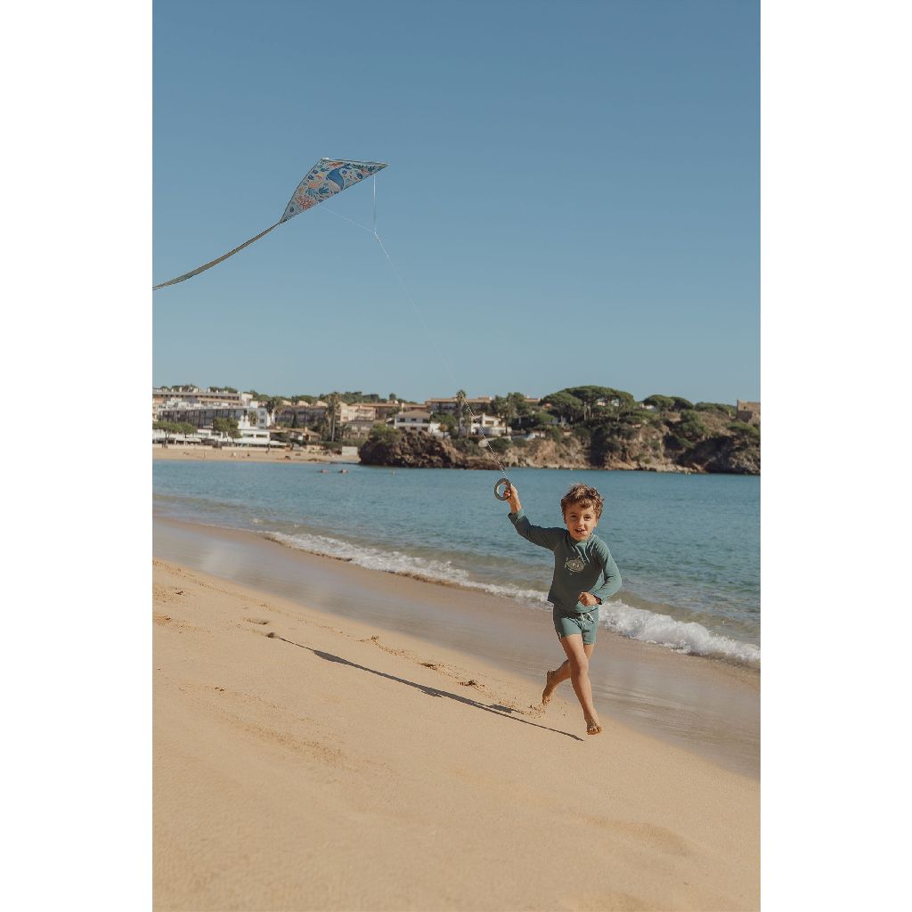 Little Dutch Ocean World Winddrachen