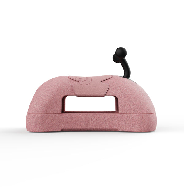 Scoot and Ride My First 3in1 rose kaufen | einfachschoen