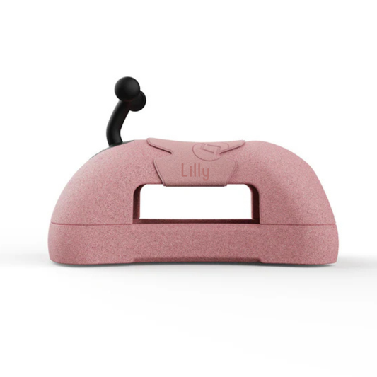 Scoot and Ride My First 3in1 rose kaufen | einfachschoen