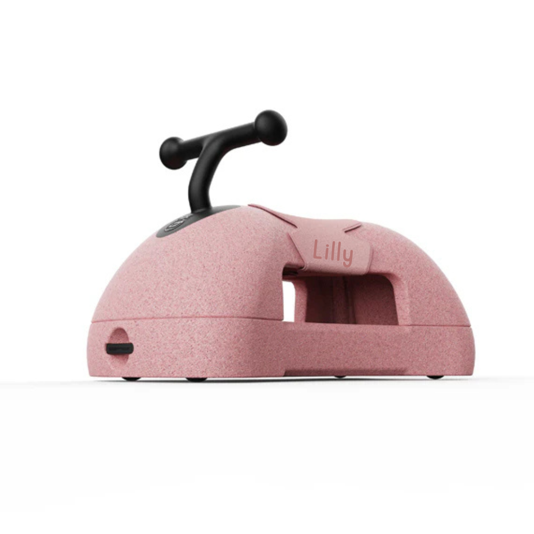 Scoot and Ride My First 3in1 rose kaufen | einfachschoen