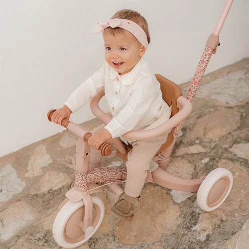 Little Dutch Rosa Dreirad 4 in 1 mit Griff Fairy Floral mit Verpackung