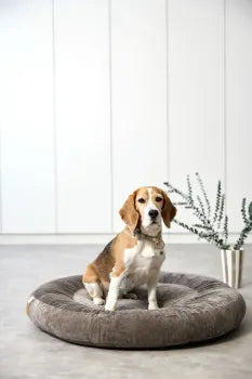 Hundebett Rund graubraun - Fippa Taupe PALOPA