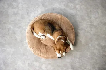 Hundebett rund hellbraun - Palopa Fippa Humus