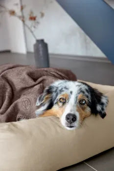 Hundedecke M - Mathilda in Walnuss -PALOPA