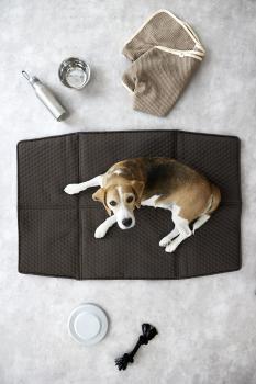 Hundemattentasche anthrazit - Nobo PALOPA