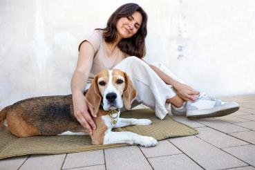 Hundemattentasche salbei - Nobo PALOPA