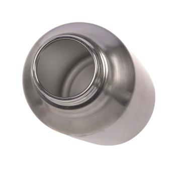 Lässig Edelstahl Trinkflasche BOLD Silber