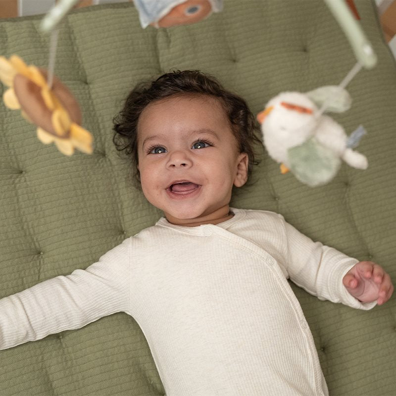 Little Dutch Musik Mobile Little Farm LD8800