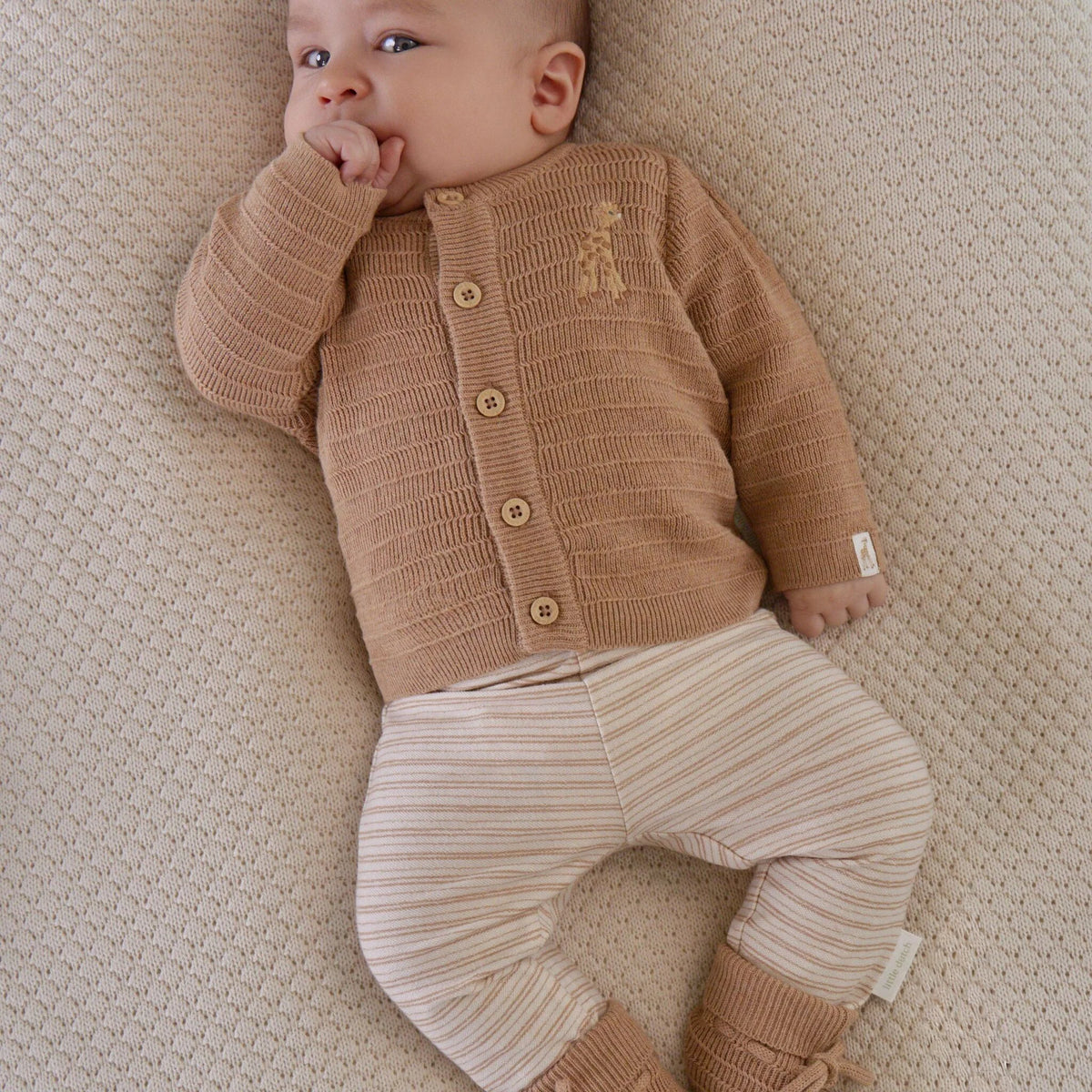 Braun gestreifte Babyhose von Little Dutch mit zeitlosem Safari Streifenmuster aus der Newborn Kollektion
