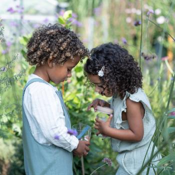 Little Dutch Insektenglas mit Lupe rosa- Fairy Garden Lupenglas