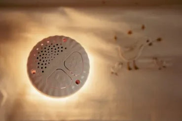 Kuschel Gans mit Nachtlicht - Licht & Ton - Little Dutch