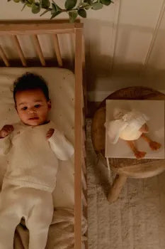 Kuschel Gans mit Nachtlicht - Licht & Ton - Little Dutch