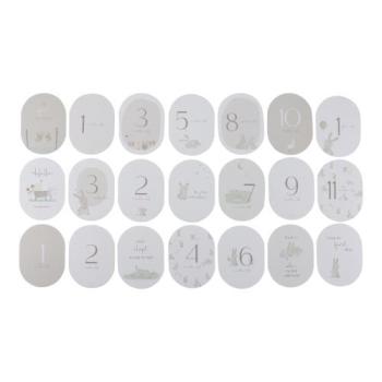 Little Dutch Meilensteinkarten Baby Bunny - englisch