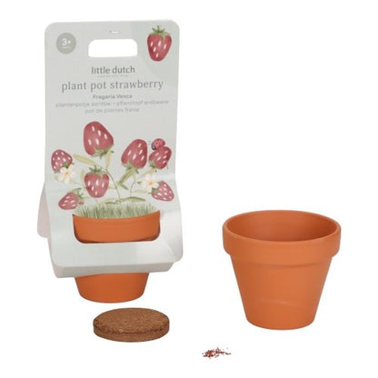 Little Dutch Pflanztopf Erdbeere - der Blumentopf mit Erdbeersamen – Lifestyle
